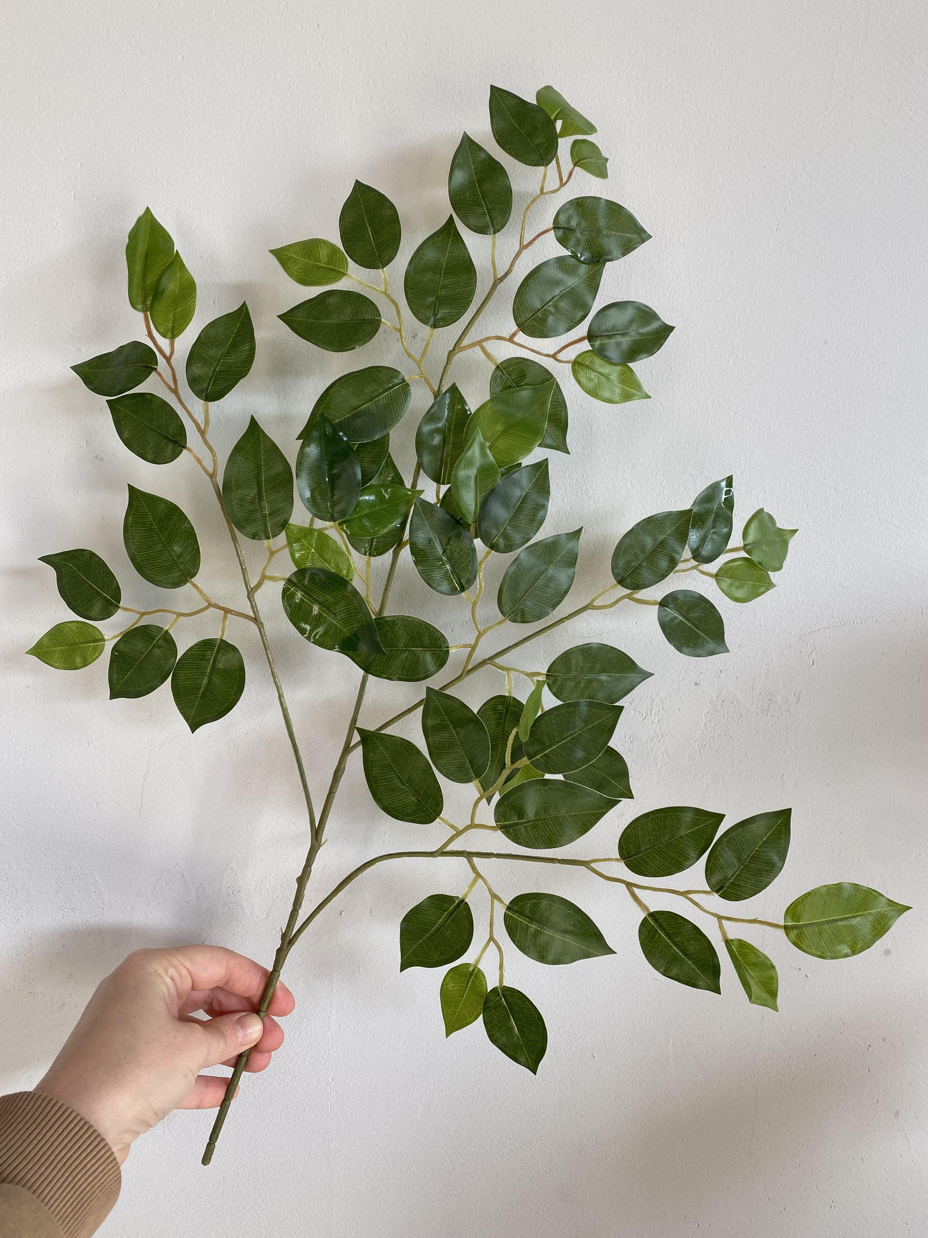 Фікус Бенджаміна штучний пачка 12 шт. Зелений - фото 5 Фікус Бенджаміна штучний пачка 12 шт. Зелений - фото 5