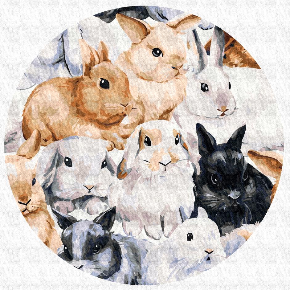 Картина по номерам Brushme Команда зайчиков 30 см (RC00015M)