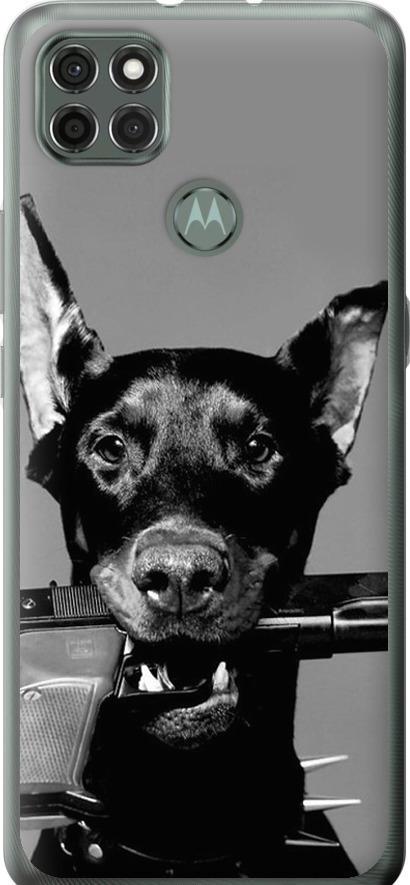 Чехол на Motorola G9 Power Доберман (2745u-2229-42517)