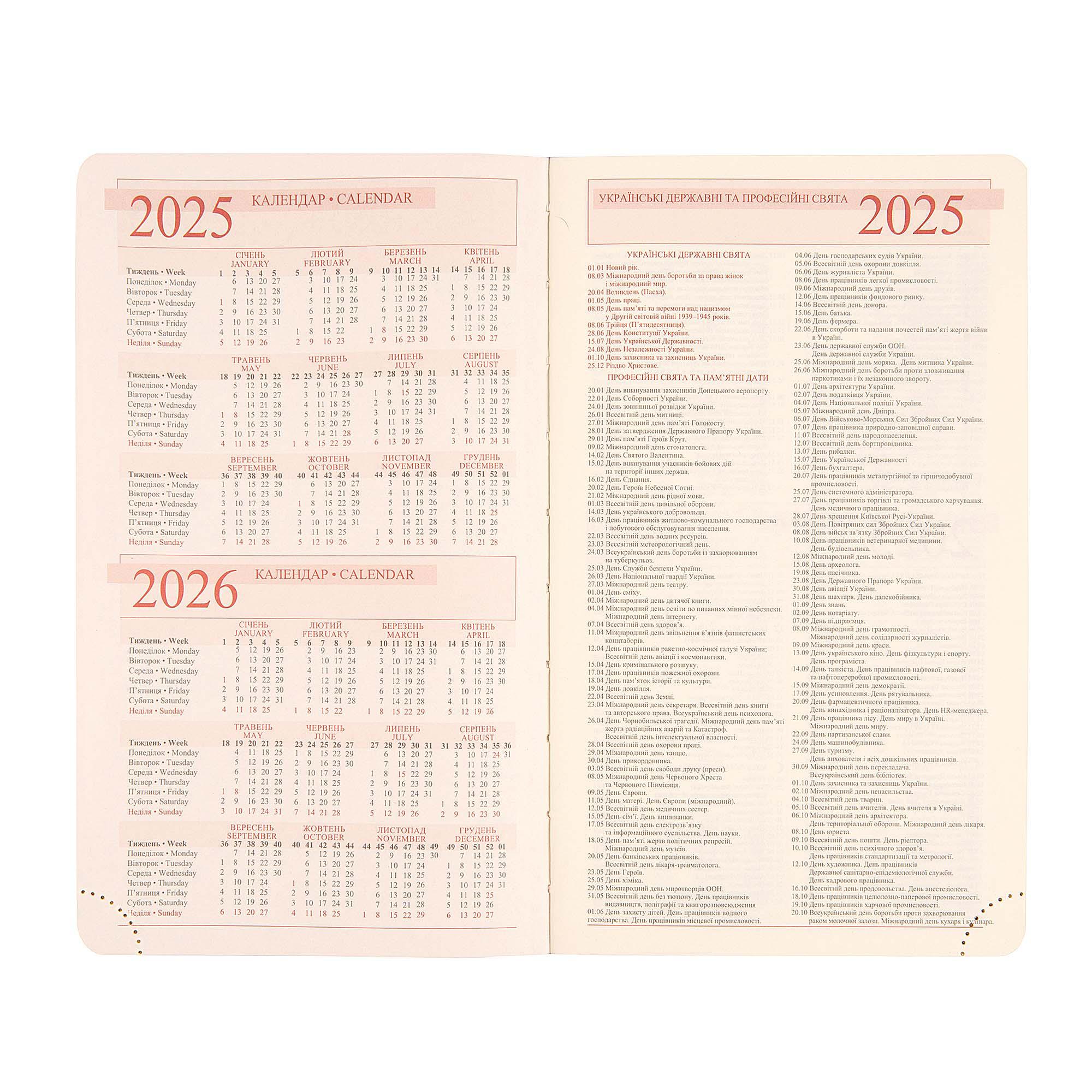 Ежедневник Leo Planner Vento датированный/2025 год А6 352 стр. (252601) - фото 6