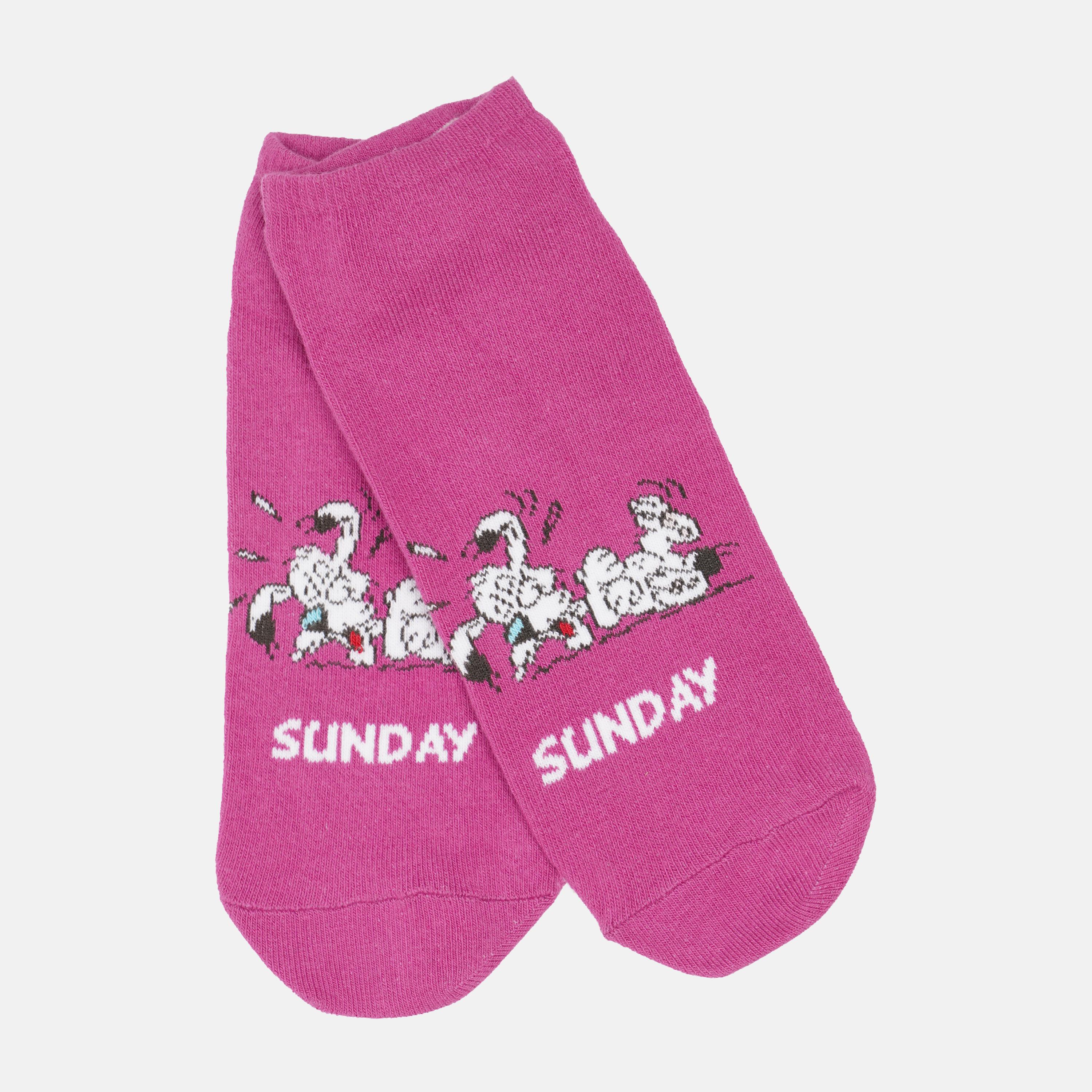 Шкарпетки C&A р. 35-38 Рожевий (224885012)