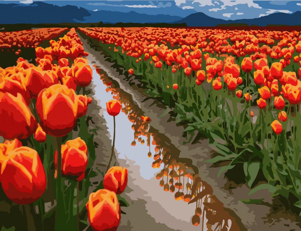 Картина по номерам Art Craft "Поля в Голландии" 40x50 см (10524-AC)