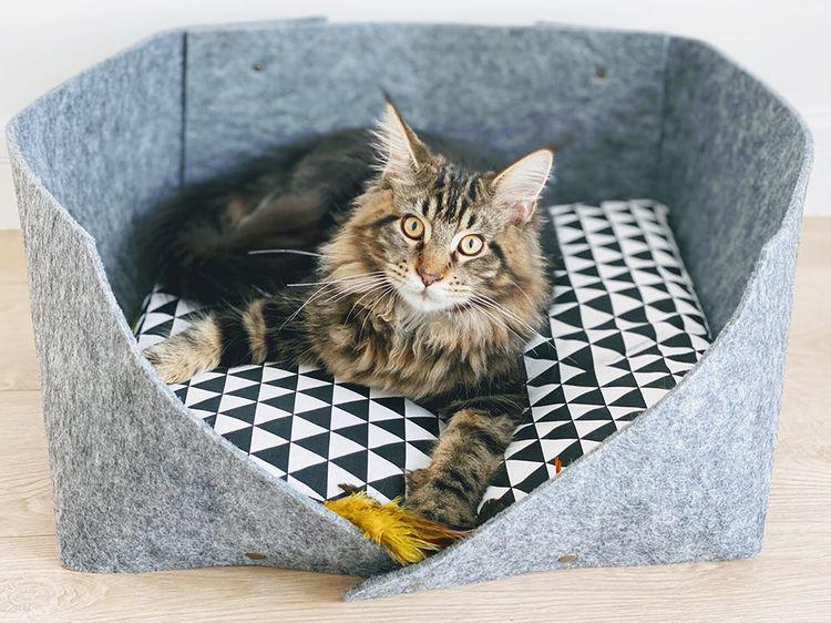 Лежак для котов и собак MYRR Baks войлок XXL 55х55x22 см Серый