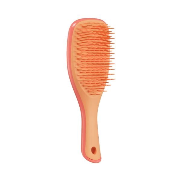 Щетка для волос Tangle Teezer The Ultimate Detangler Mini Salmon Pink & Apricot - фото 1