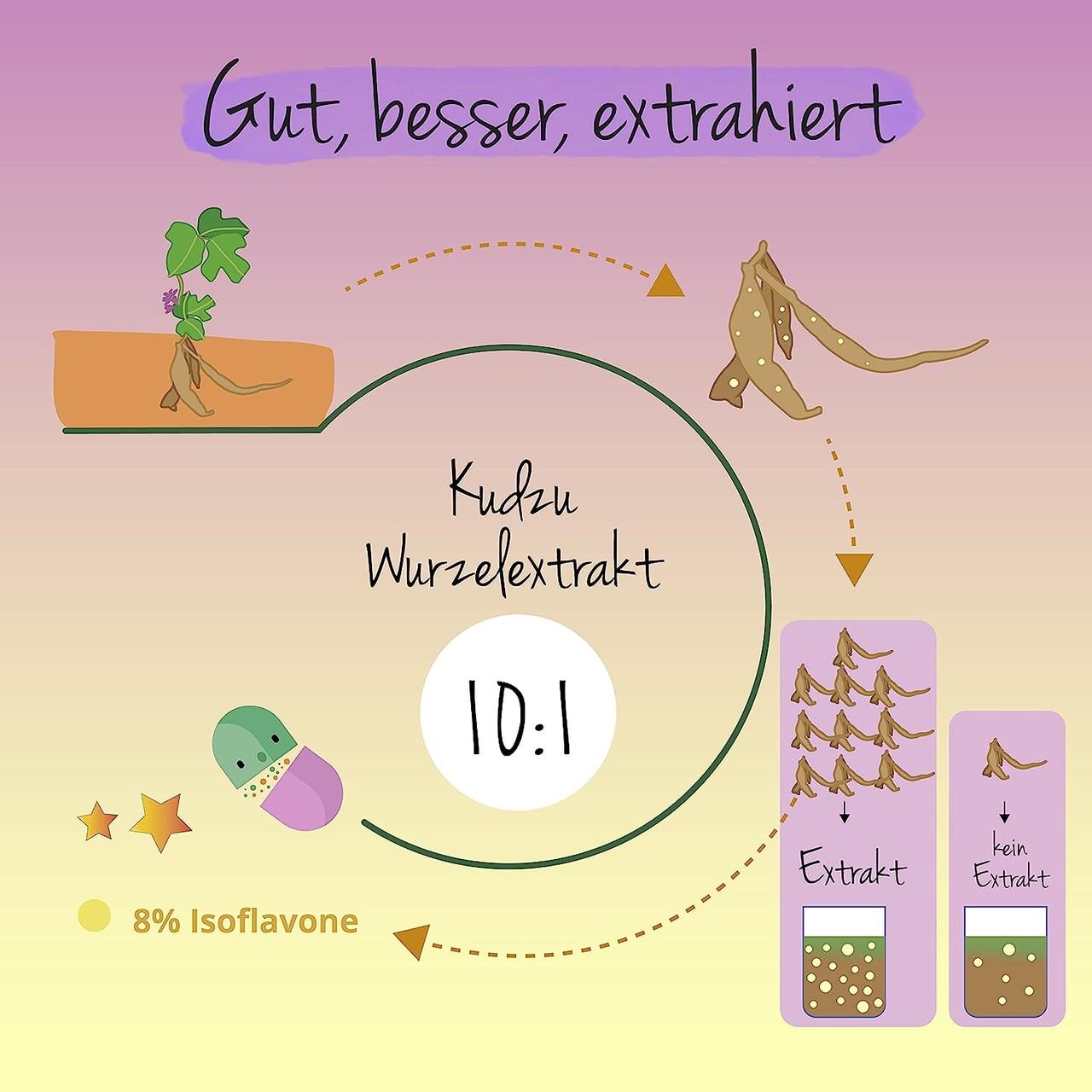 Витамины Vegavero Кудзу 600 мг 120 капсул (500945440v) - фото 3 Витамины Vegavero Кудзу 600 мг 120 капсул (500945440v) - фото 3