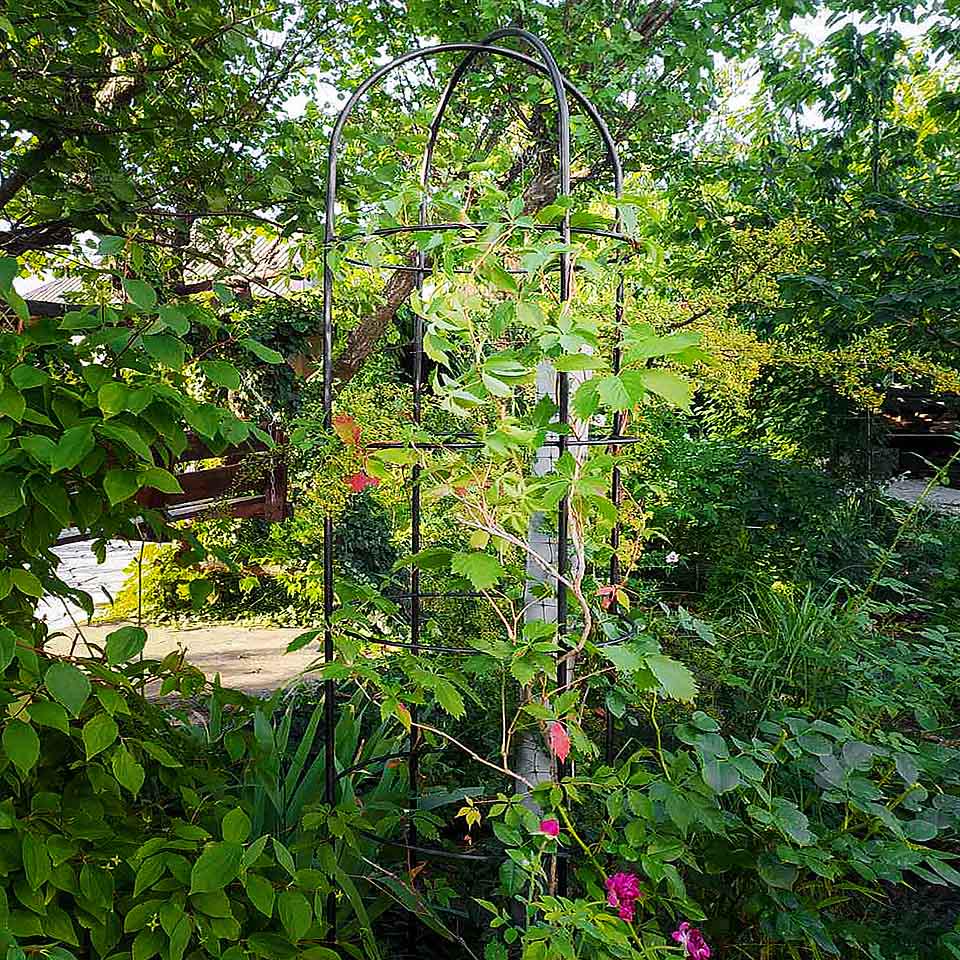 Опора для растений арочно-кольцевая на четыре кольца 1850х500х500 мм (АКО-D13/D8-1850*500/4) - фото 9