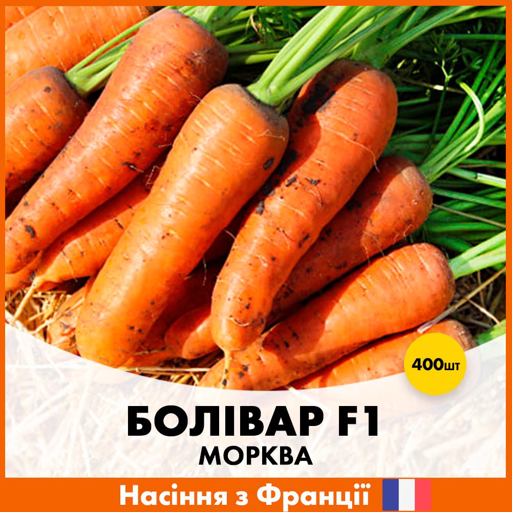 Семена моркови Clause Боливар F1 400 шт. (R30323)