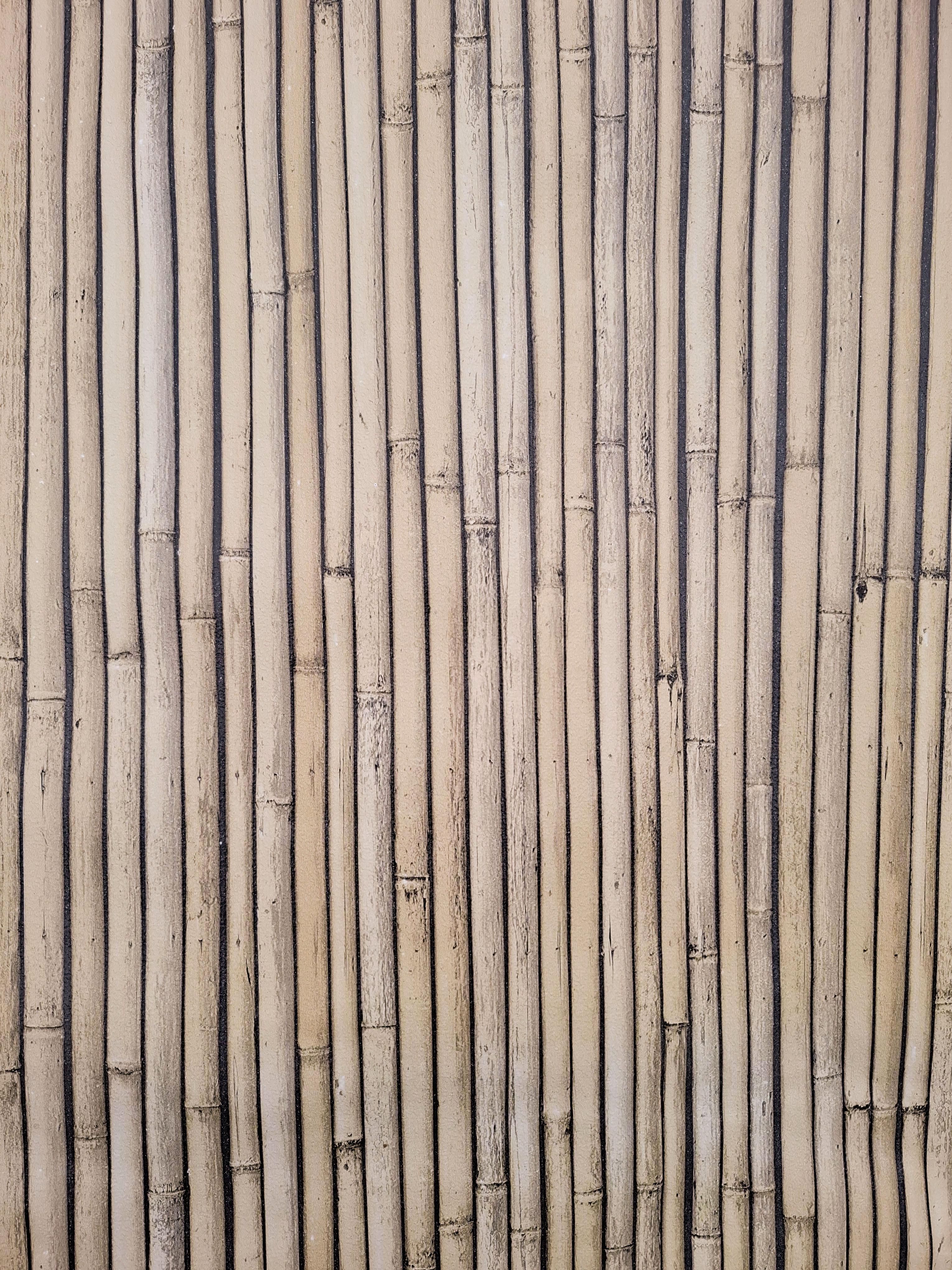 Обои простые бумажные Шарм Бамбук 177-01 - фото 4 Обои простые бумажные Шарм Бамбук 177-01 - фото 4