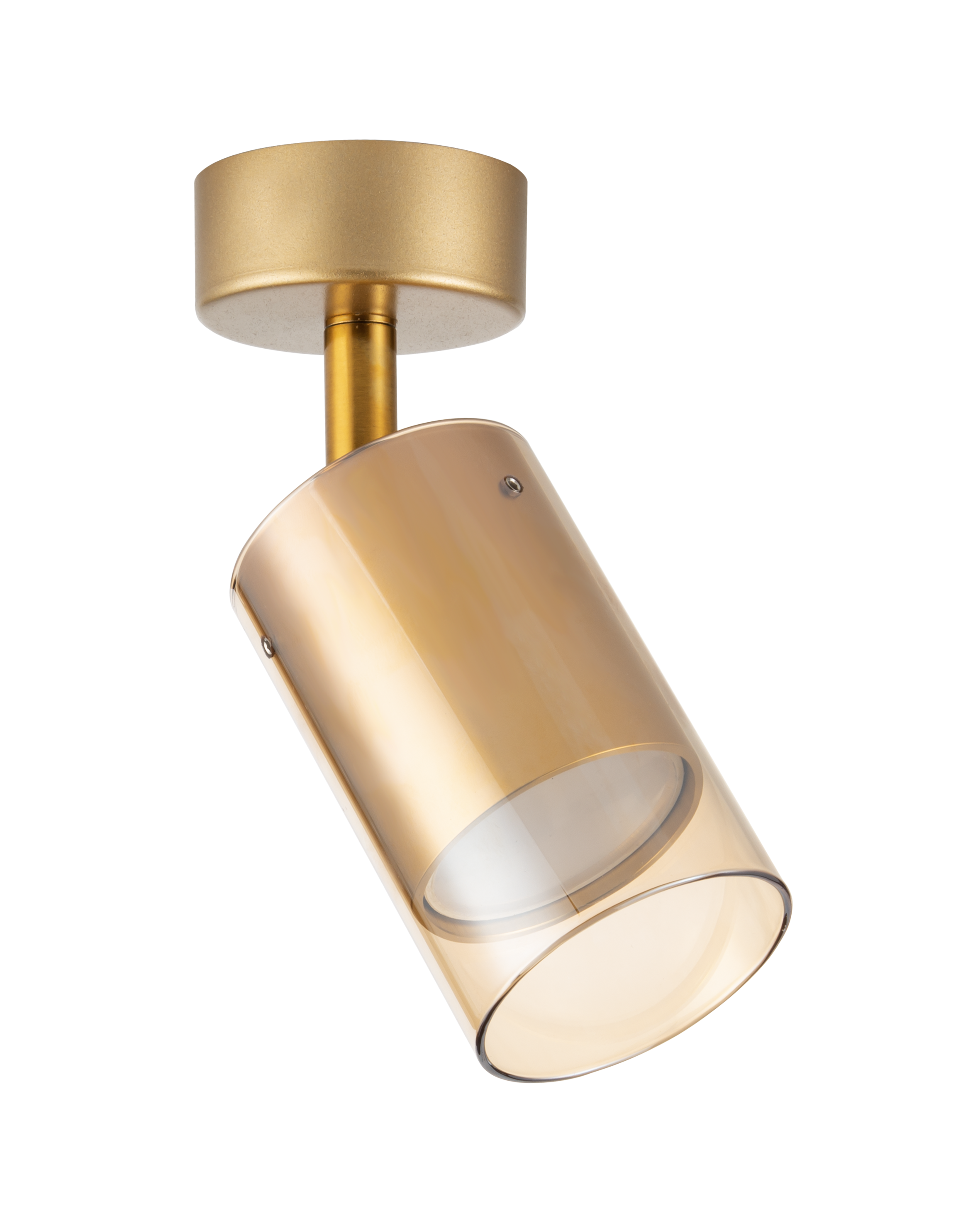 Спот Zuma Line OB-2211BD-1-GLD REN