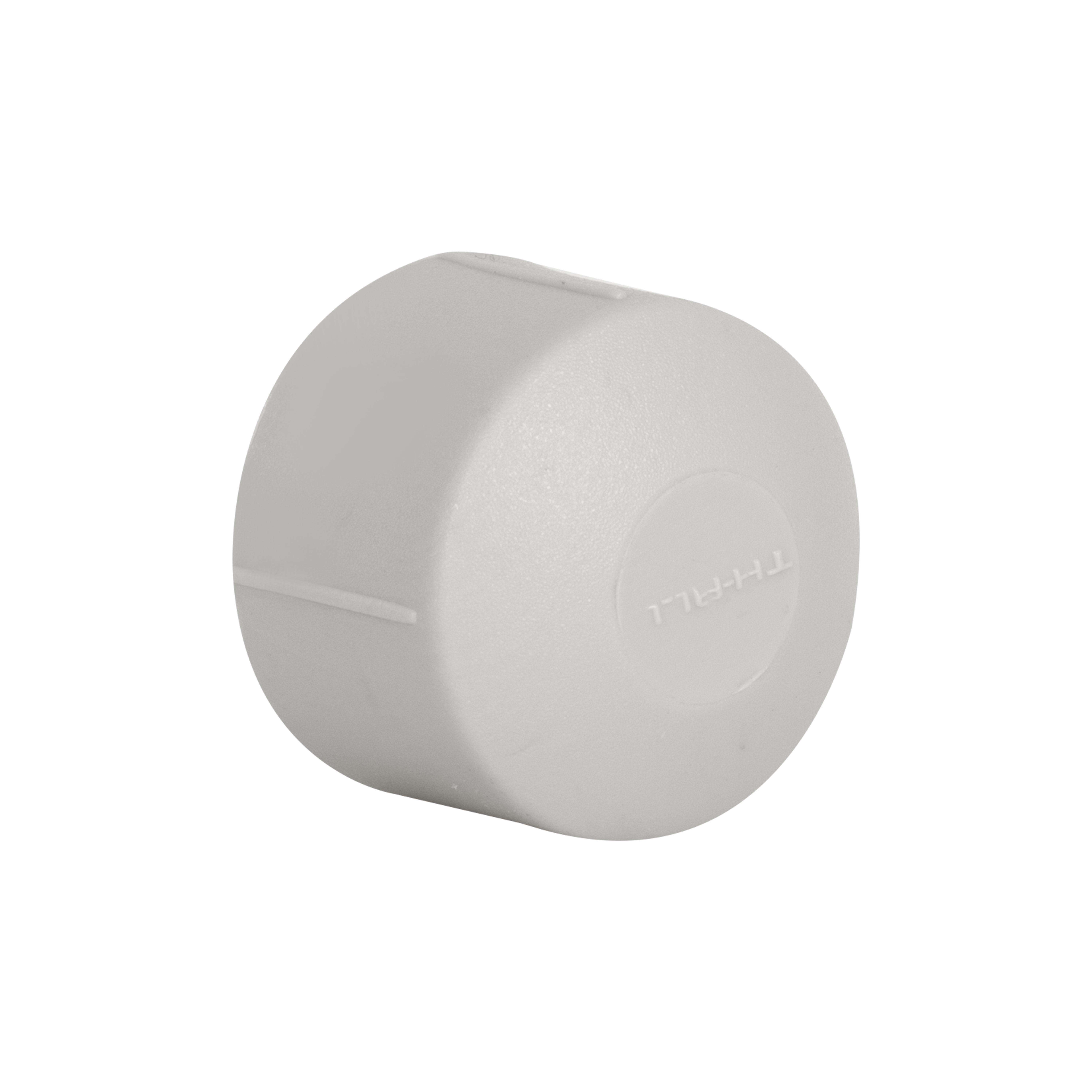 Заглушка PPR Thermo Alliance 25 (SD00029205)