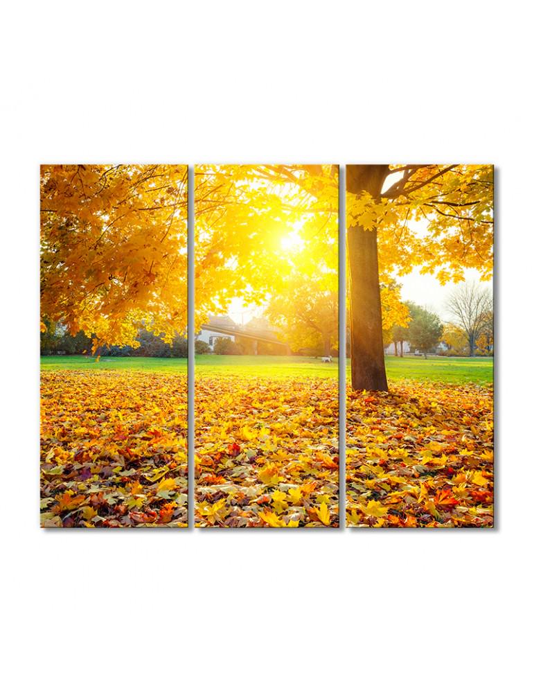 Картина модульная Солнечное осеннее утро 3 модуля 50x75 см