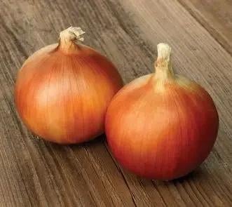 Семена Лук Репчатый Syngenta BANKO F1 250 000 шт. (1988244490) Семена Лук Репчатый Syngenta BANKO F1 250 000 шт. (1988244490)