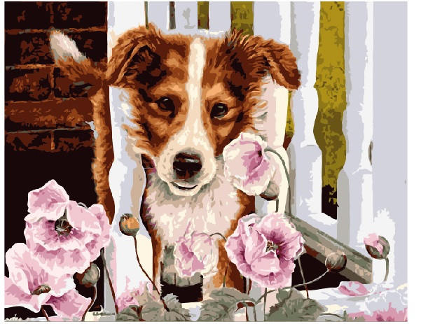 Картина по номерам Brushme Песик в маках (GX7554)