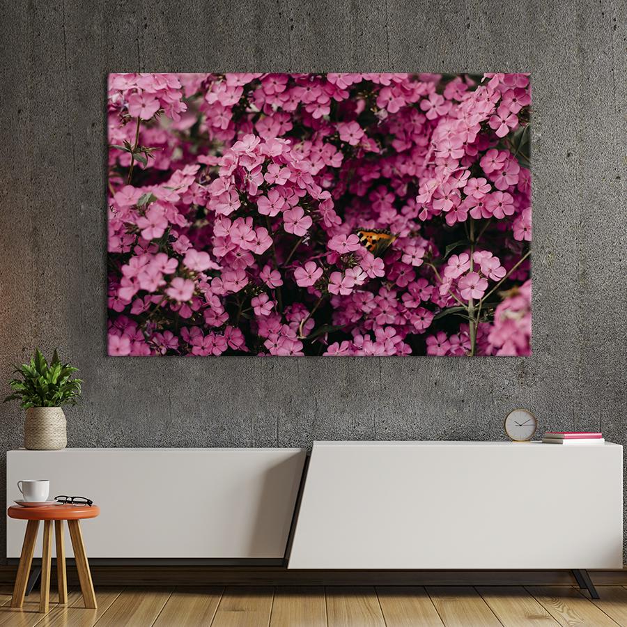 Картина на холсте Розовые флоксы 75x50 см (925-1)