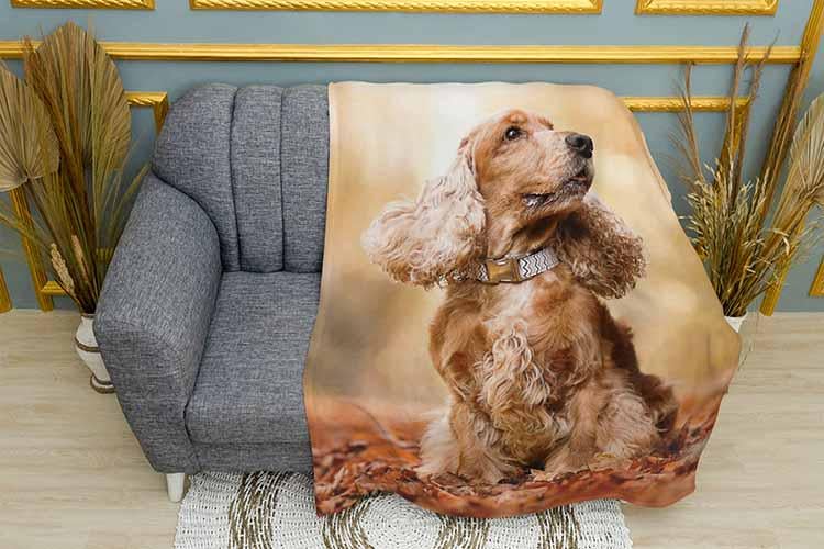 Плед Cocker spaniel in autumn плюш одношаровий 135х150 см (113454)