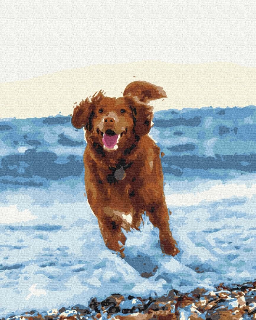 Картина по номерам Brushme Премиум Собачка в море 40x50 см (PBS51436)