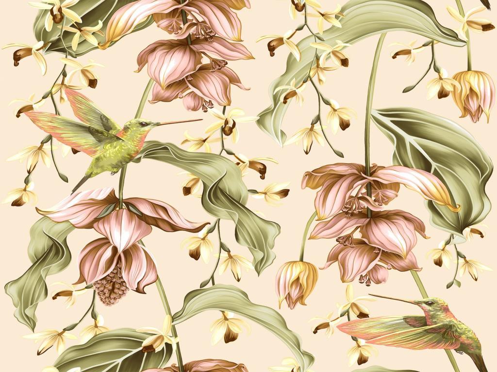 Обои бумажные Континент Колибри 1501 0,53x10,05 м Бежевый