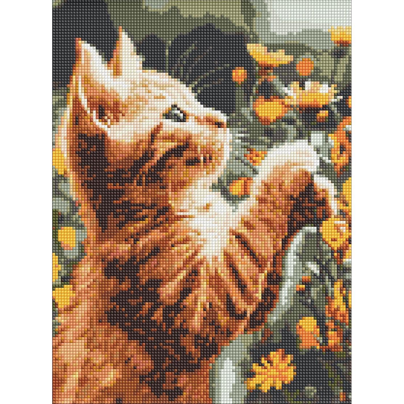 Картина по номерам Ideyka Рыжий пушистик алмазная вышивка мозаика 30x40 см (VM-127-A-156)