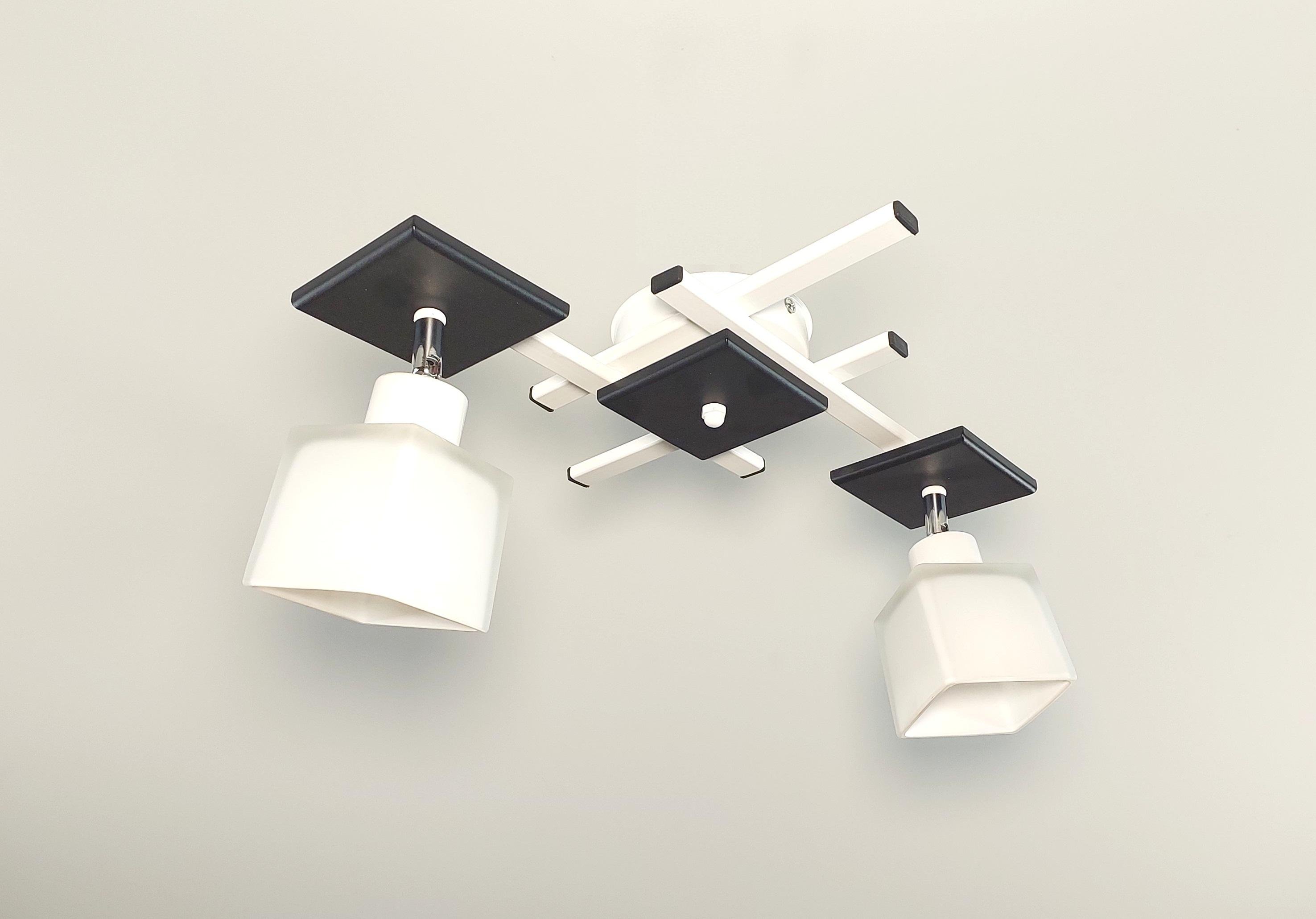 Люстра потолочная Оскар/2 на 2 поворотных плафона Белый/Черный