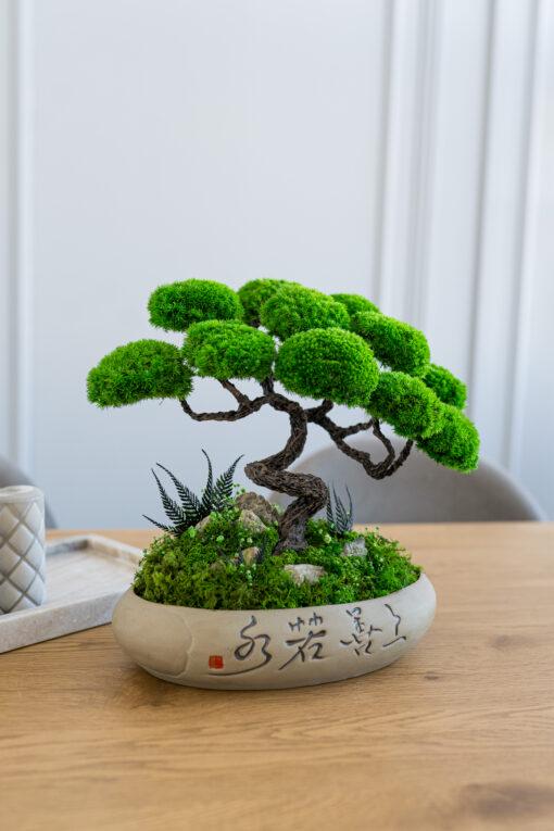 Бонсай стабілізований Самурай 31х32 см - фото 2