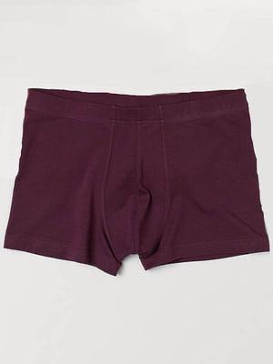 Трусы L Бордовый (5643096wer)