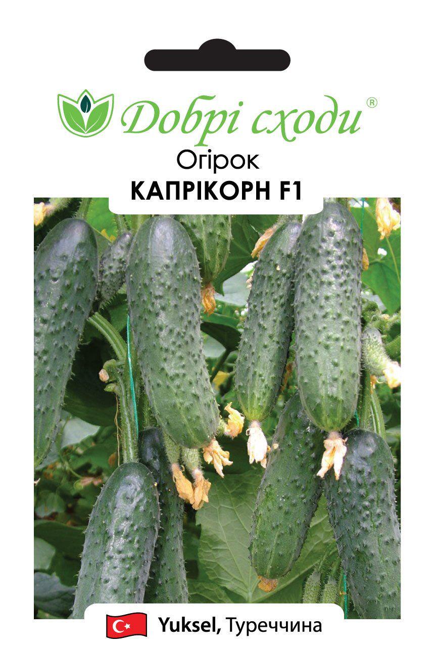 Насіння огірків Капрікорн F1 (3342)