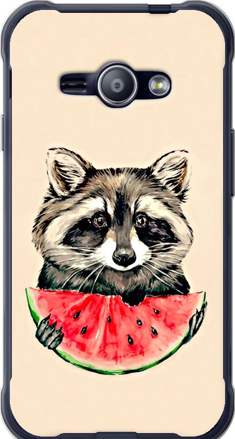 Чехол на Samsung Galaxy J1 Ace J110H Енотик с арбузом (4605t-215-42517)
