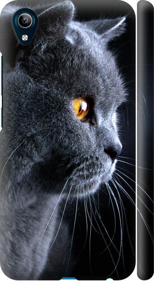 Чехол на Vivo Y91C Красивый кот (3038m-1762-42517)