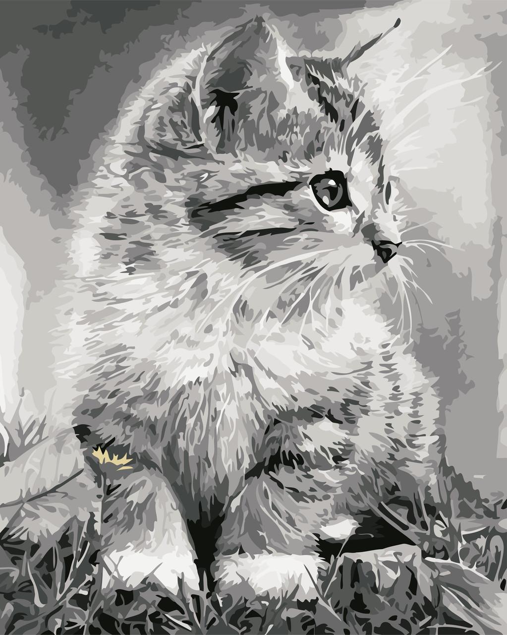Картина по номерам Art Story Серенькое чудо 40х50 см (AS0550)