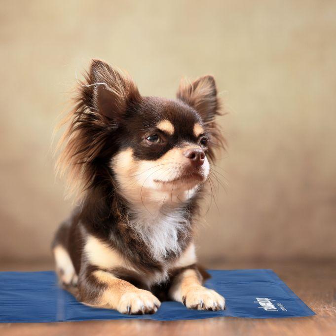 Килимок для собак і кішок Relaxdays гель ПВХ що самоохолоджується легко чиститься без електрики 90x50 см - фото 2