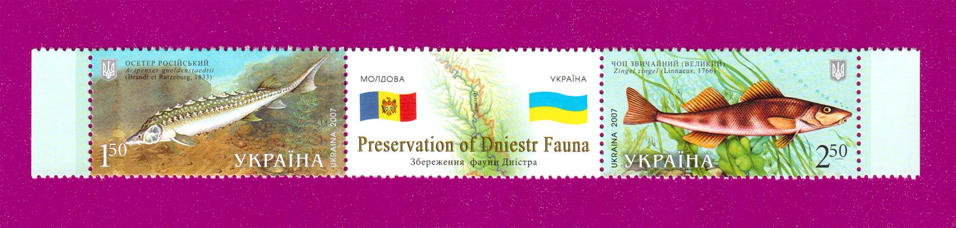 Почтовые марки Украины 2007 года сцепка Украина-Молдова Сохранение фауны Днестра (200770009) Почтовые марки Украины 2007 года сцепка Украина-Молдова Сохранение фауны Днестра (200770009)