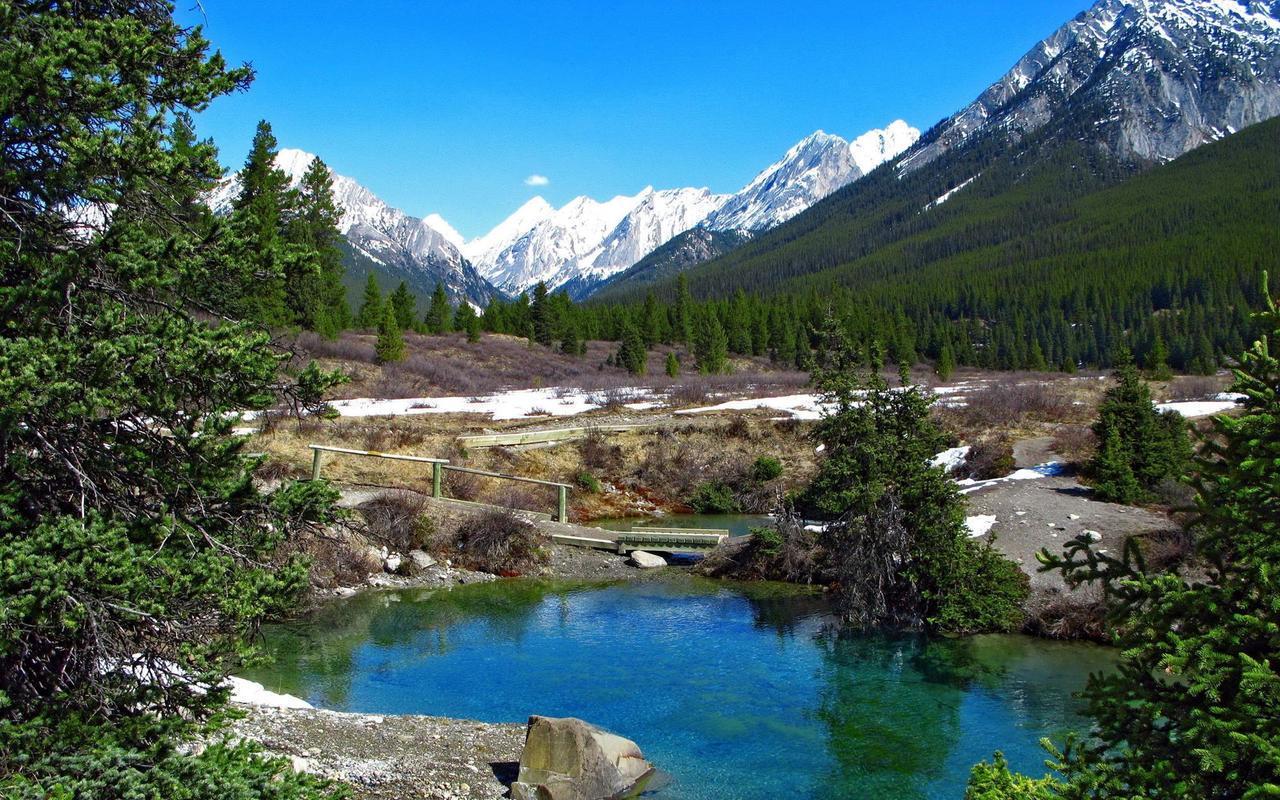 Картина на холсте Природа 55х85 см (PR057L)