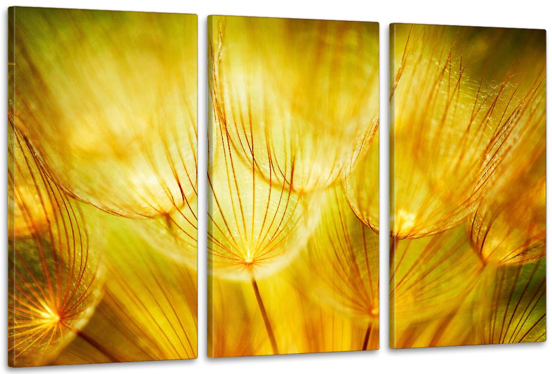 Картина модульная в гостиную/спальню Цветы 53х100 см (ART-306_3A)