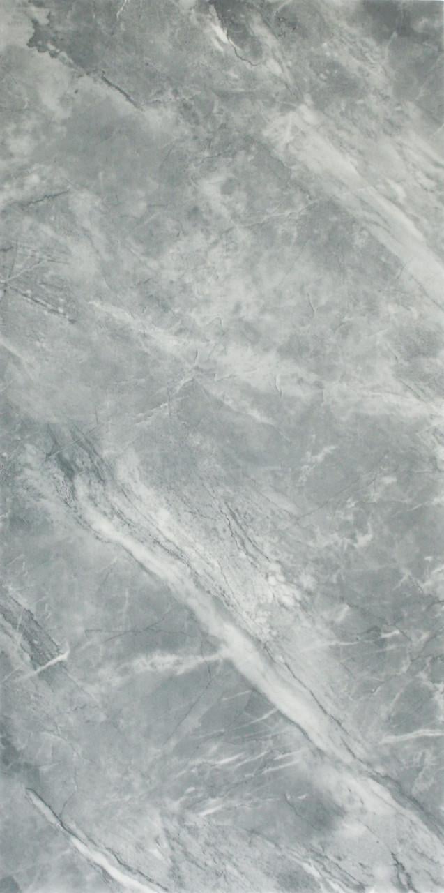 PET-панель самоклеящаяся глянцевая 600х300х2,5 мм Пепельный серый (2770339296)