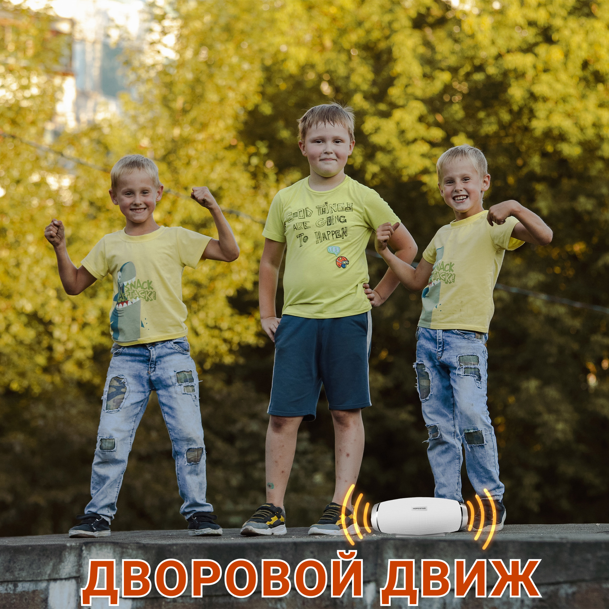 Акустическая система Hopestar PowerBank H27 Белый - фото 13