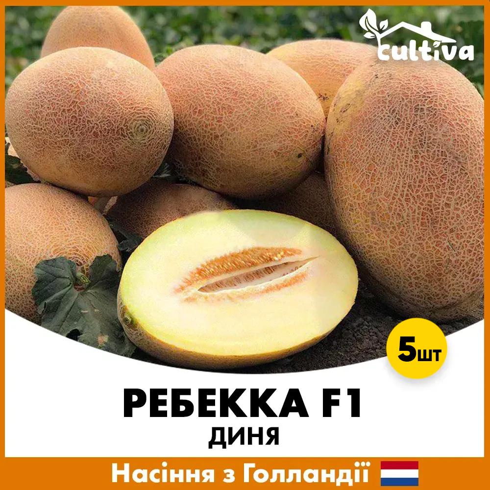 Семена дыни Hazera Ребекка F1 5 шт. (R50227-5)