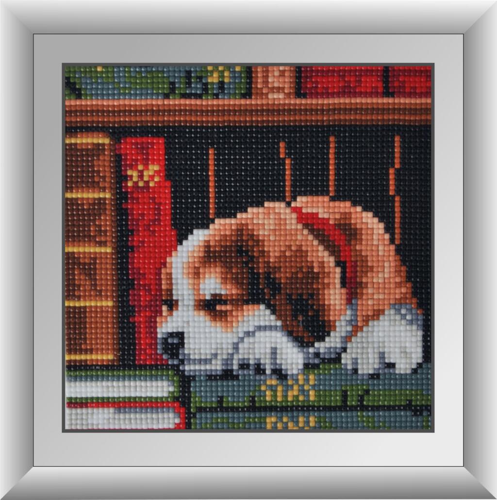 Алмазная мозаика Dream Art Щенок на книжной полке 17x17 см (skl-DA.30342M)