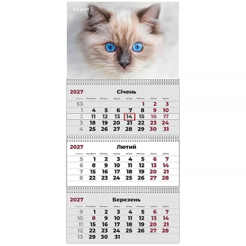 Календар настінний квартальний Axent Cats 2 2027 рік 3 пружини (8803-27-8-A) Календар настінний квартальний Axent Cats 2 2027 рік 3 пружини (8803-27-8-A)