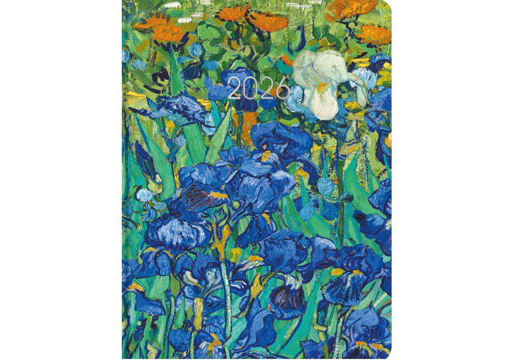 Дневник датированный 2026 Economix Color A5 336 стр. принт (E21872)