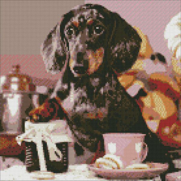 Алмазная мозаика Идейка Пушистый повар 40x40 см (Id-AMO7414)