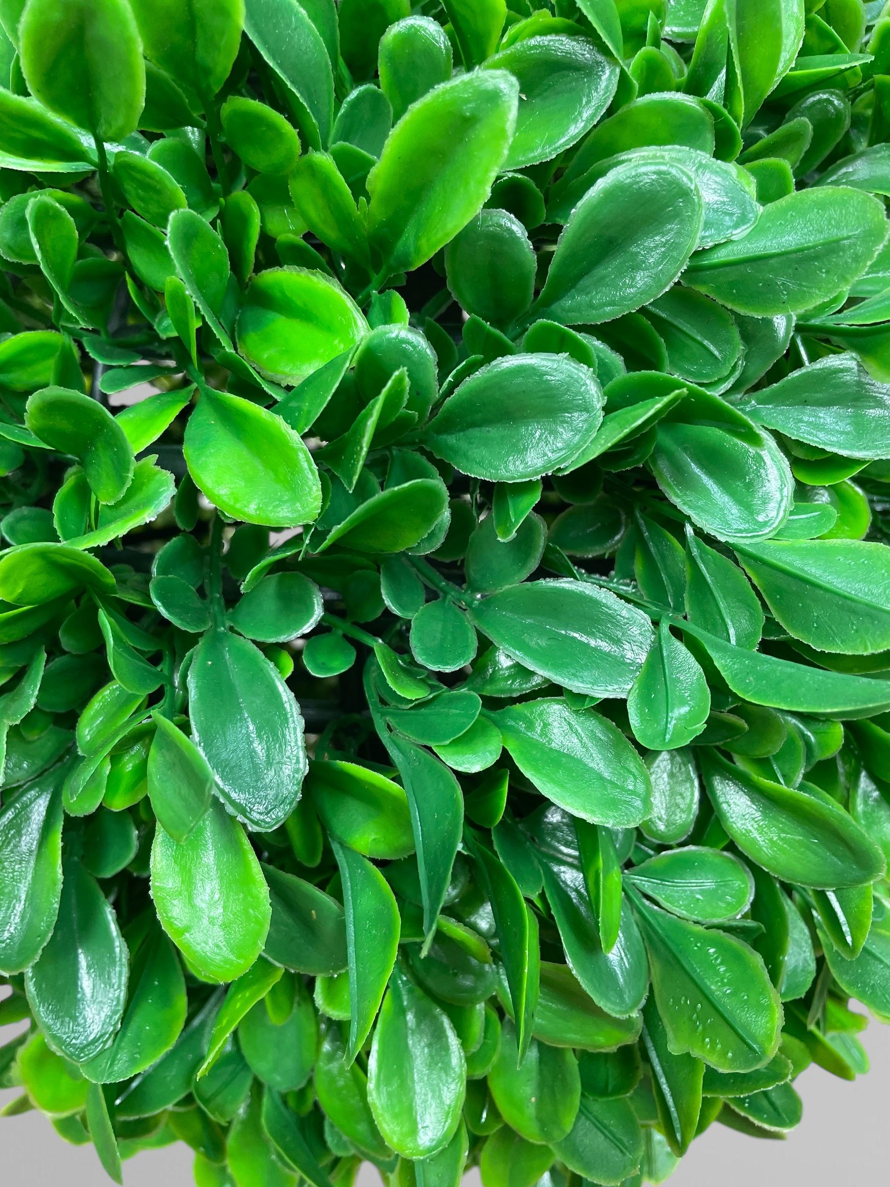 Штучна самшитова куля на стовбурі в горщику 90 см Зелений (Д13002) - фото 3 Штучна самшитова куля на стовбурі в горщику 90 см Зелений (Д13002) - фото 3