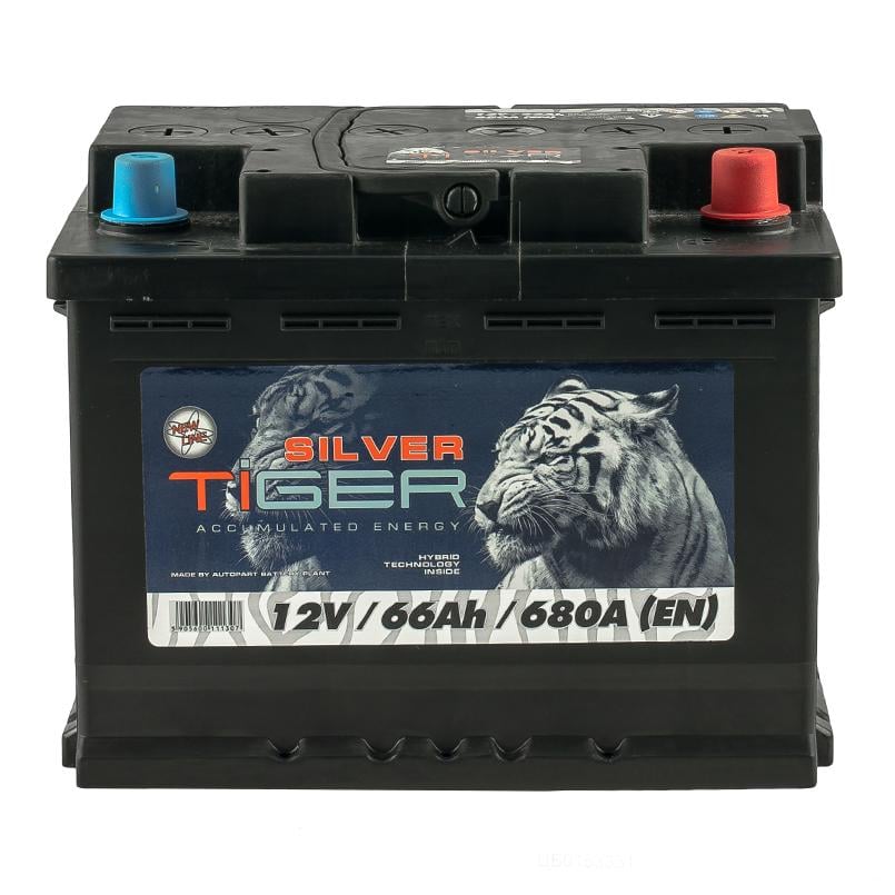 Аккумулятор Tiger 66 Аh/12V Silver (AFS066-S00)