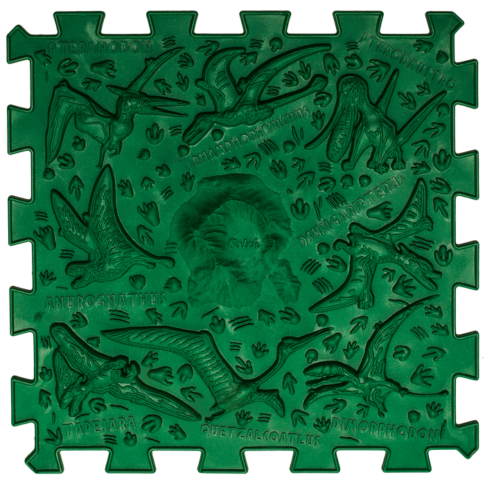 Развивающий коврик массажный Ortek Птицезавры 1 эл. 26x26 см (OR00001487)