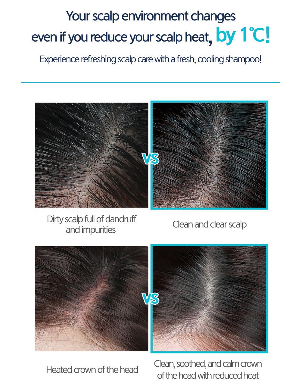 Шампунь для волосся охолоджуючий CP-1 Head Spa Cool Mint Shampoo 500 мл (12074) - фото 2 Шампунь для волосся охолоджуючий CP-1 Head Spa Cool Mint Shampoo 500 мл (12074) - фото 2