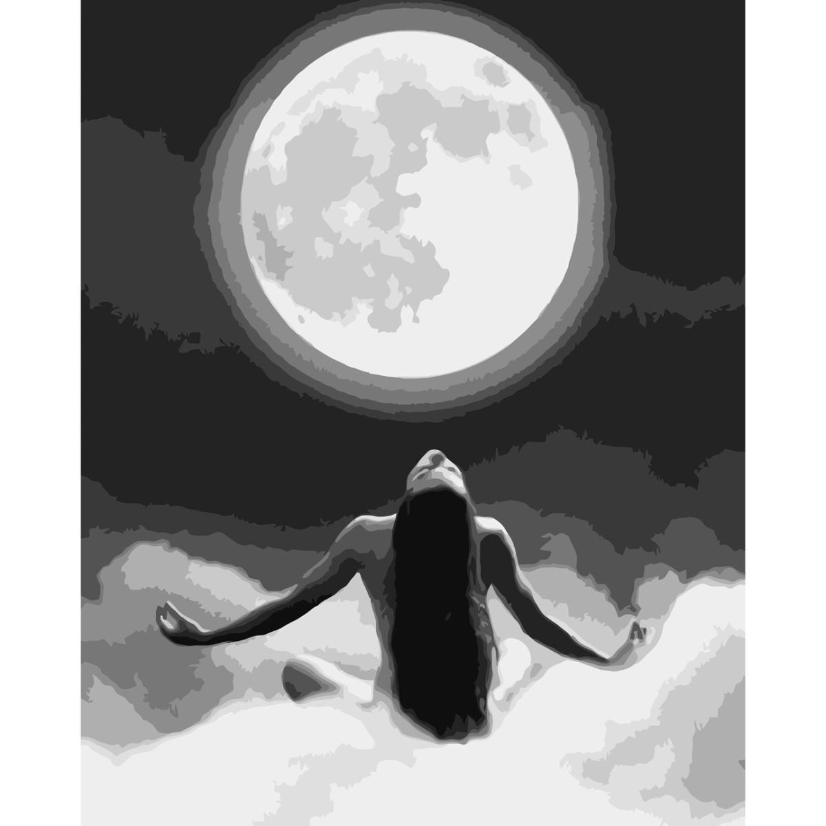 Картина за номерами Strateg Тіло в променях місяця 40x50 см (VA-3730) Картина за номерами Strateg Тіло в променях місяця 40x50 см (VA-3730)