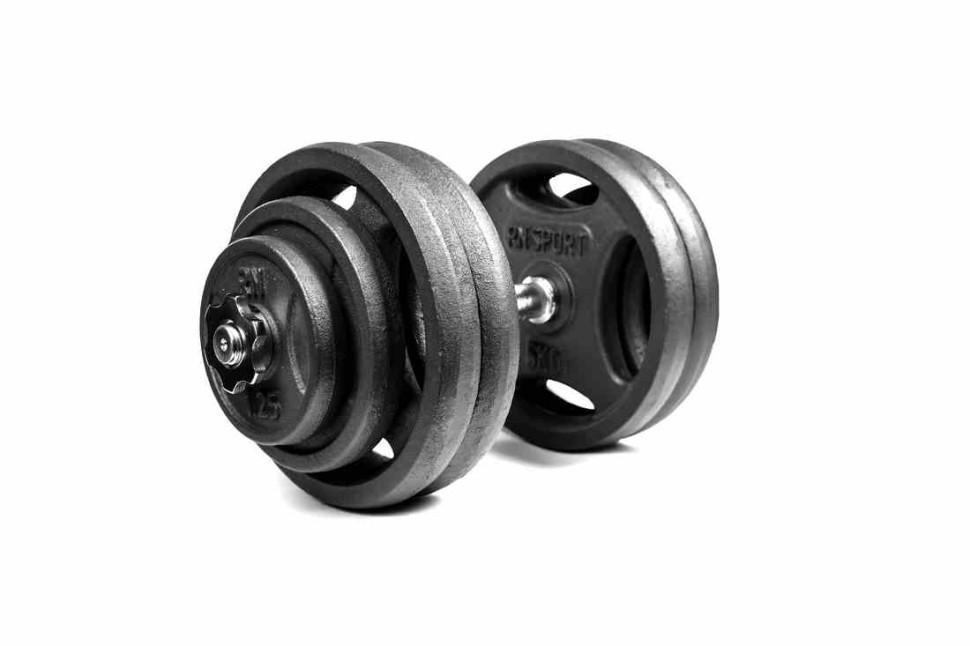 Гантель разборный RN-Sport металлический 28 кг (RN_QTR28)