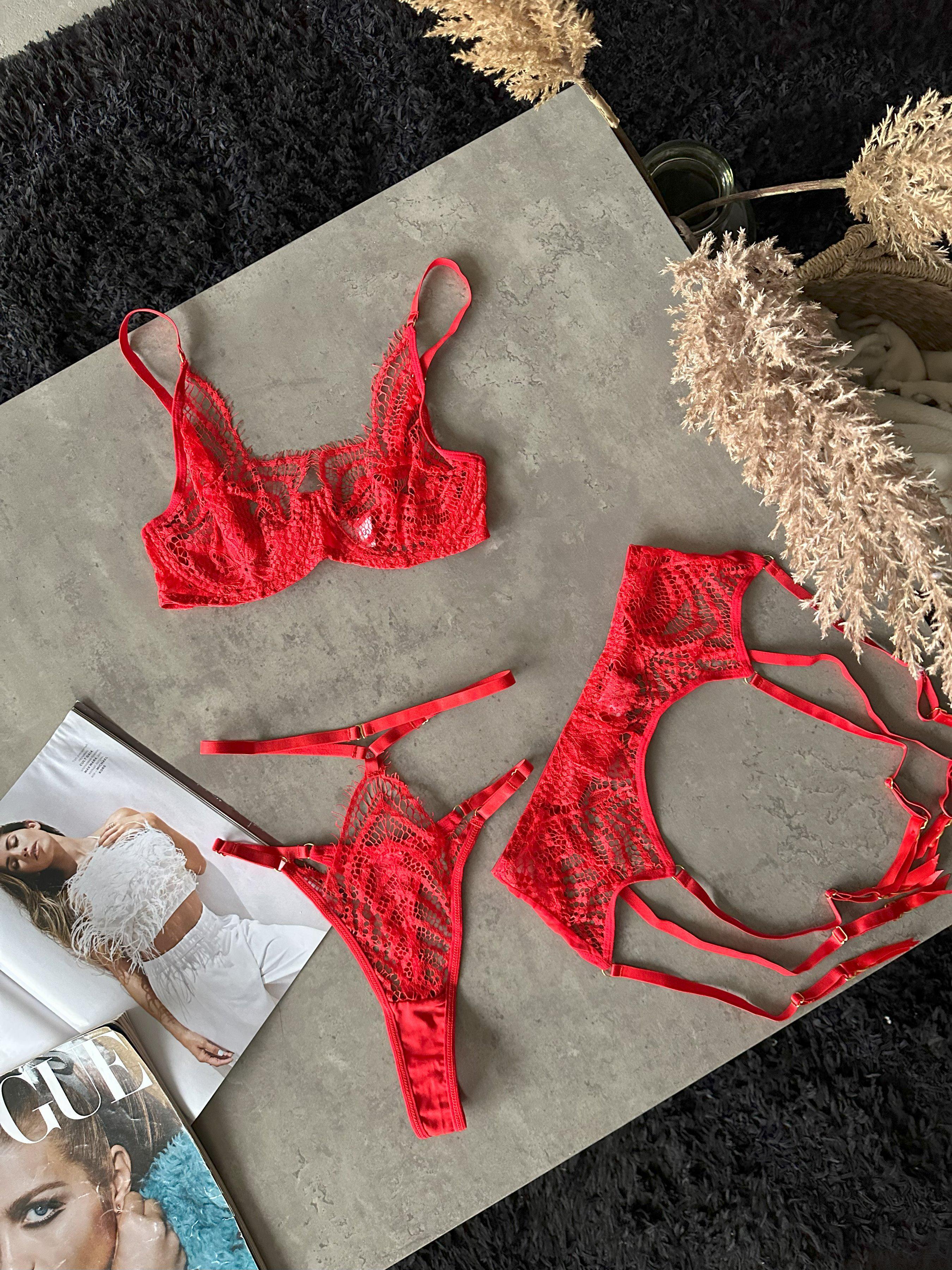 Комплект жіночої білизни Nova Vega бюстгальтери/трусики/пояс/гартери M р. 42-44 Червоний (103-260-1) - фото 8 Комплект жіночої білизни Nova Vega бюстгальтери/трусики/пояс/гартери M р. 42-44 Червоний (103-260-1) - фото 8