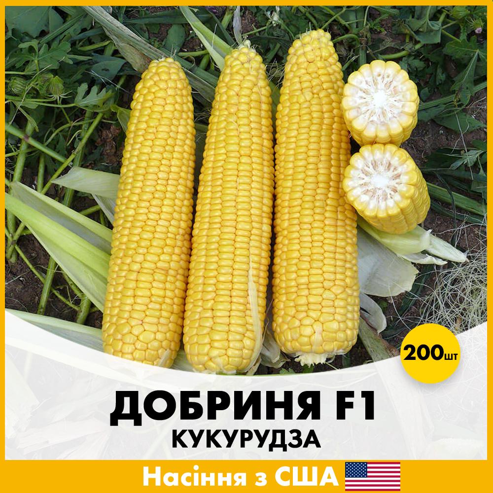 Семена кукурузы Lark Seeds Сахарная Добрыня F1 200 шт. (lks-200-k)