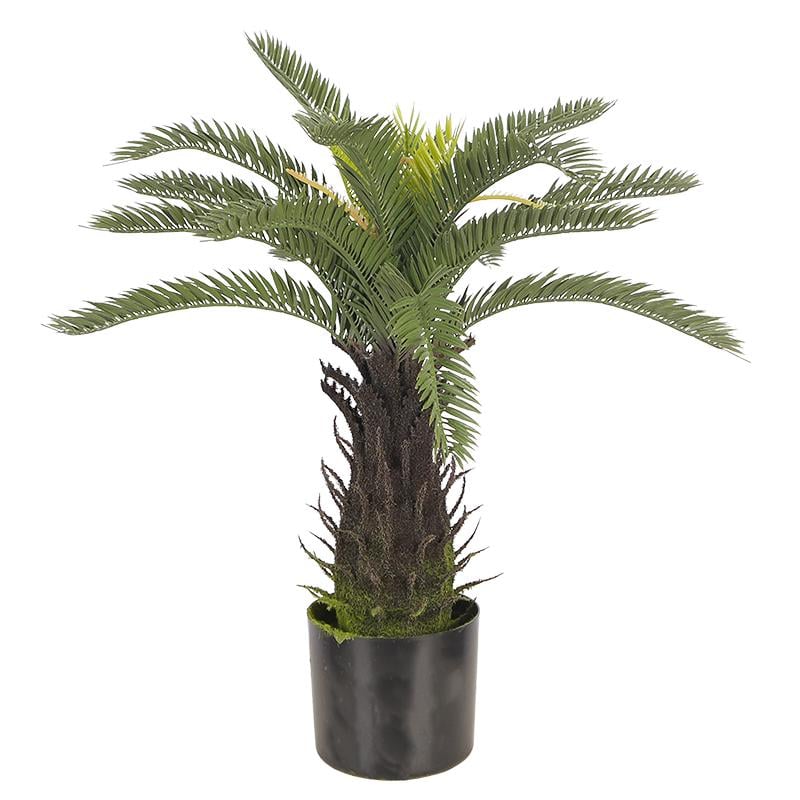 Искусственное растение Engard Cycas Palm 60 см (DW-25)