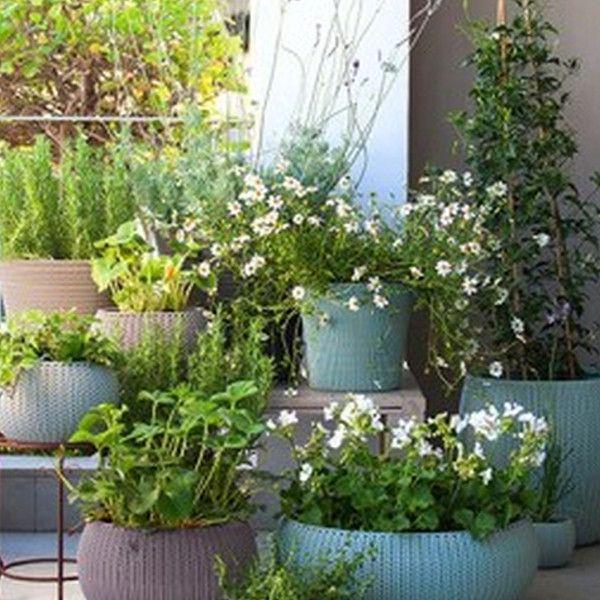 Вазон для растений Keter Cozies M 9,4 л Фиолетовый - фото 4